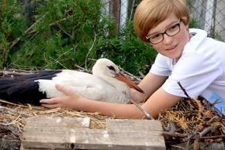 Kamil Piwowarczyk i Kajtek II, który ma amputowaną część skrzydła (fot. AS)