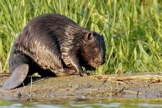 fot. Klaudiusz Muchowski