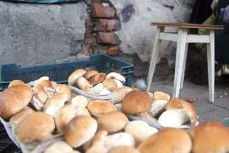 W Lublinie na targowisku przy ul. Wileńskiej za kilogram borowików trzeba było słono zapłacić (Fot. AS)