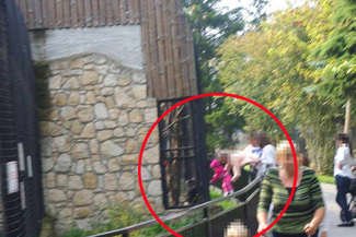 Bezmyślne zabawy w zoo. "Nie chcemy myśleć co by się stało, gdyby małpa uchwyciła rączkę dziecka"