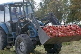Monika i Mariusz Kuryluk uprawiają przede wszystkim dynie, fasolę, zboża i zioła (Fot. Archiwum rodziny Kuryluków)