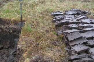 Wydobycie torfu (fot. Wojsyl)