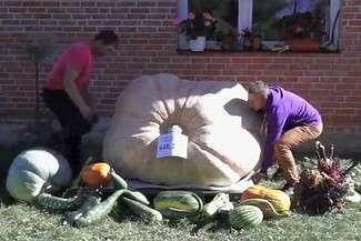 Wyhodował gigantyczną dynię. Warzywo waży 648 kg!