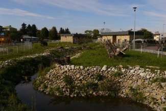 Zoo w Zamościu: Hipopotam Fupi i kapibary mają nowy dom