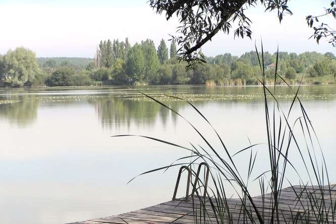 Gmina zamierza uzyskać dostęp do jeziora zamieniając się działkami z leśnikami (fot. Urząd Gminy Rejowiec)