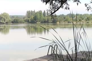 Gmina zamierza uzyskać dostęp do jeziora zamieniając się działkami z leśnikami (fot. Urząd Gminy Rejowiec)