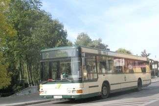 Chełm: Autobusy CLA powinny być oklejane reklamami?