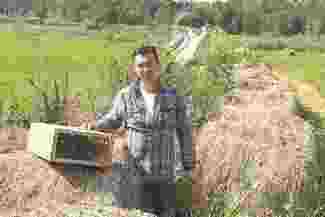 Bażantów było za mało. Myśliwi wypuścili 1,5 tysiąca ptaków