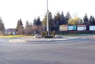 W ciągu pierwszego tygodnia zbierania podpisów zebrano już około tysiąca głosów poparcia.