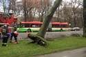 Strażacy pracują przy uszkodzonym drzewie koło KUL (Fot. Dominik Smaga)