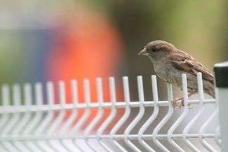 (fot. Paweł Buczkowski)