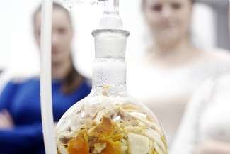 Pokazy, warsztaty i spotkania. Noc Biologów w Lublinie