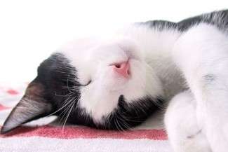 Fot. Anna Moderska/freeimages