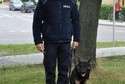Pies Ilas ze swoim przewodnikiem (fot. Policja)