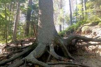 Pierwsza taka mapa Roztocza. Od Kraśnika aż do Lwowa