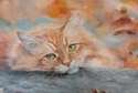 fot. obraz Jolanty Rodak „Kot jesienny”