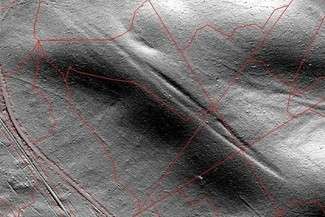 Młody, czynny uskok tektoniczny w Roztoczańskim Parku Narodowym (ilustracja: Roztoczański Park Narodowy)