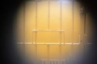 Policjant na drzewie? Taka służba