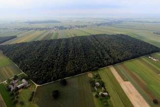 Jak zostać właścicielem gruntu, który kiedyś podarował car? Nie czekaj, uwłaszcz się