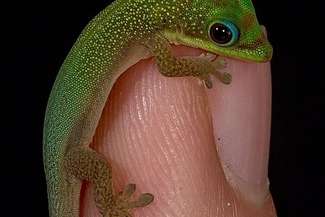 Fot. Barek Gorzkowski