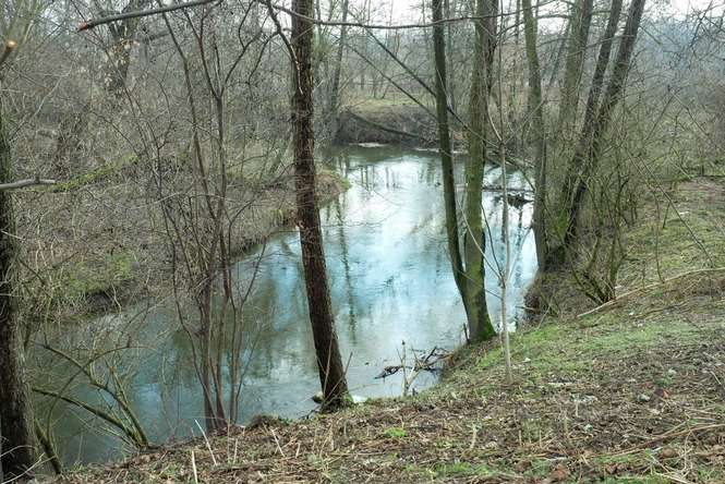 Kanał odprowadza do rzeki deszczówkę ze znacznej części Czubów. Fot. Maciej Kaczanowski