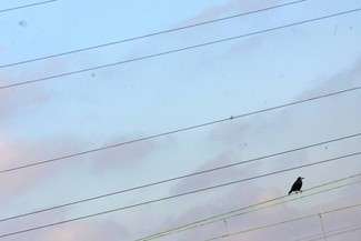 Nowa linia energetyczna z Zamościa do Szczebrzeszyna. Wiatr już nie taki straszny