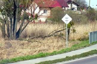 Efekt działania bobrów w miejscowości Krupe w powiecie krasnostawskim (fot. UG Krasnystaw)