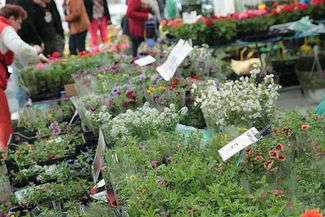 (fot. Wojciech Nieśpiałowski)