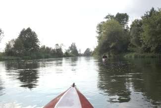 Długość Bugu wynosi 772 km, jej źródła i górny odcinek (185 km) znajdują się na Ukrainie