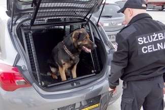 Szwajcarzy uszczelniają naszą wschodnią granicę (zdjęcia)