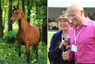 Klacz Prerię, Shirley Watts kupiła w 2009 roku za 230 tys. euro (fot. katalog Pride of Poland / Ewelina Burda (archiwum)
