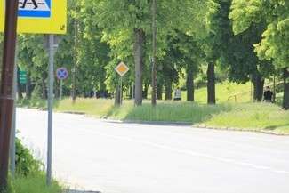 Ceny urosły i trawa