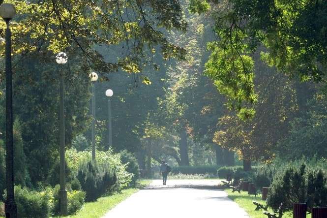 Park Ludowy (Fot. Wojciech Nieśpiałowski / archiwum)