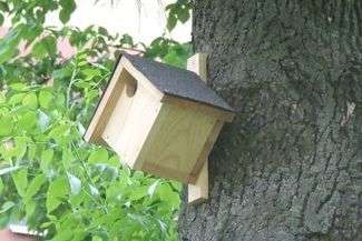 Więźniowie robią budki dla ptaków