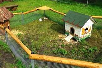 Mini zoo (fot. ZOO Zamość)