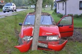 Samochód wjechał w słup, na którym było bocianie gniazdo