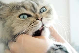 Dłuższy spacer na fundowany zabieg