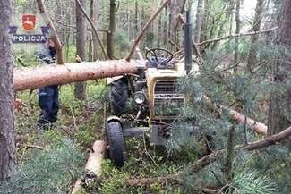 Wypadek przy wycince drzewa. Mężczyzna został przygnieciony