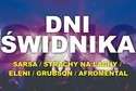 Gwiazdy na Dniach Świdnika: Grubson, Afromental, Strachy na Lachy, Sarsa i Eleni