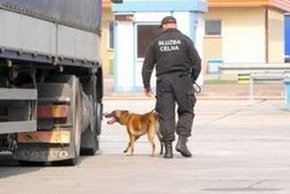 Coraz dłuższe kolejki na granicach Polski z Ukrainą i Białorusią