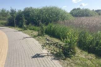 Ławki i stoły lądują w rzece. Wandale nad Uherką