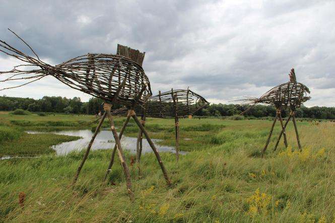 Landart Festiwal podobnie jak w roku ubiegłym odbywa się nad Bugiem. Wernisażowy spacer 9 lipca / fot. archiwum