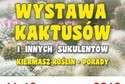 Wystawa Kaktusów i innych Sukulentów w Ogrodzie Botanicznym