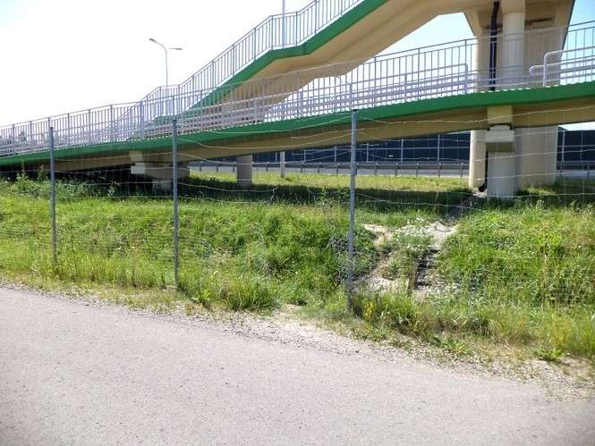 Od początku roku drogowcy odkryli aż 86 przypadków uszkodzenia ogrodzenia wzdłuż drogi ekspresowej S12 na odcinku Lublin-Bystrzejowice (fot. GDDKiA)