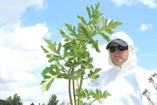 fot. Maciej Kaczanowski/ archiwum
