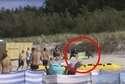 Dzik na plaży w Karwi nad Bałtykiem. Poturbował kilka osób (wideo)