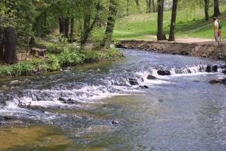 Szumy na rzece Tanew (fot. Dorota Awiorko / archiwum)
