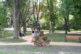 Fot. Jacek Barczyński