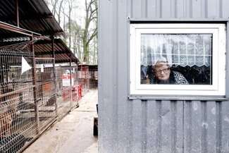 Gdzie będzie nowe schronisko? Członkowie stowarzyszenia zbierają podpisy