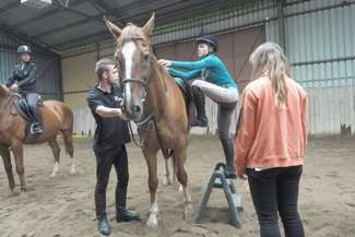 Stęp, kłus i galop. Egzamin wstępny na jeździectwo i hipologię (zdjęcia)